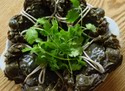 煮熟前青背白肚