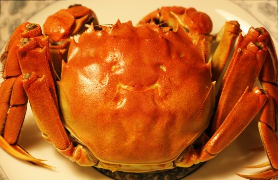 բзӢô˵,Hairy Crabs